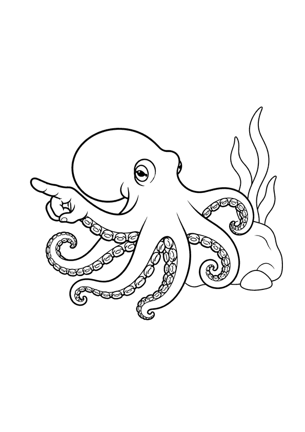 Ein kleiner Oktopus zeigt mit seinem Tentakel auf mich, während er auf einem Felsen sitzt.