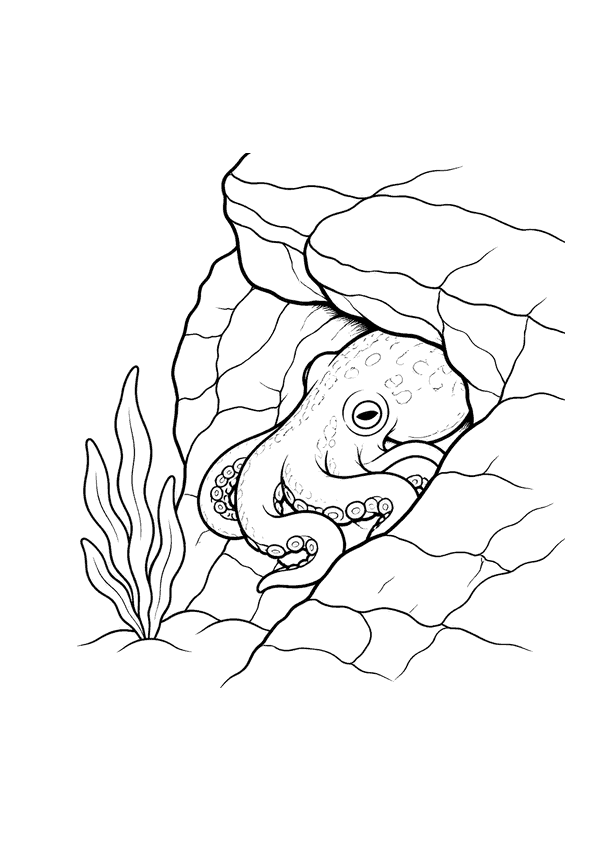 Ein kleiner Oktopus versteckt sich in einer Unterwasserklippe mit gewellten Linien, die Seegras darstellen.