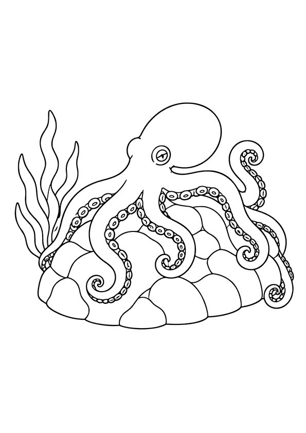 A small octopus curling its tentacles around a rock on a rocky surface.