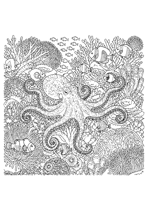 A small octopus with eight tentacles in a busy coral reef surrounded by fish.