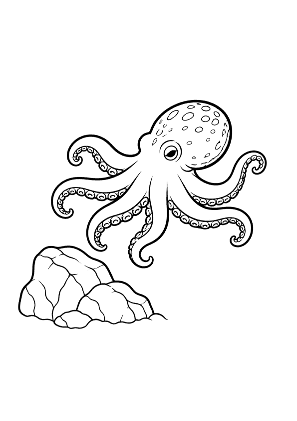 A small octopus is floating above a rock with visible eyes and tentacles.
