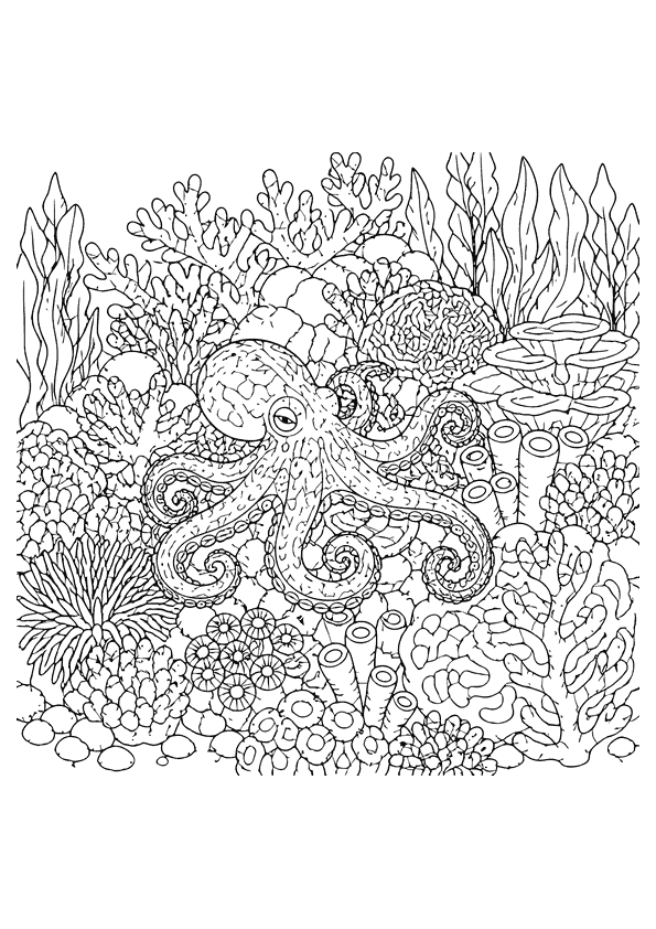 Pulpo Pequeño pulpo en un arrecife de coral lleno de vida Pulpo pequeño en un arrecife de coral lleno de vida con corales y plantas marinas.